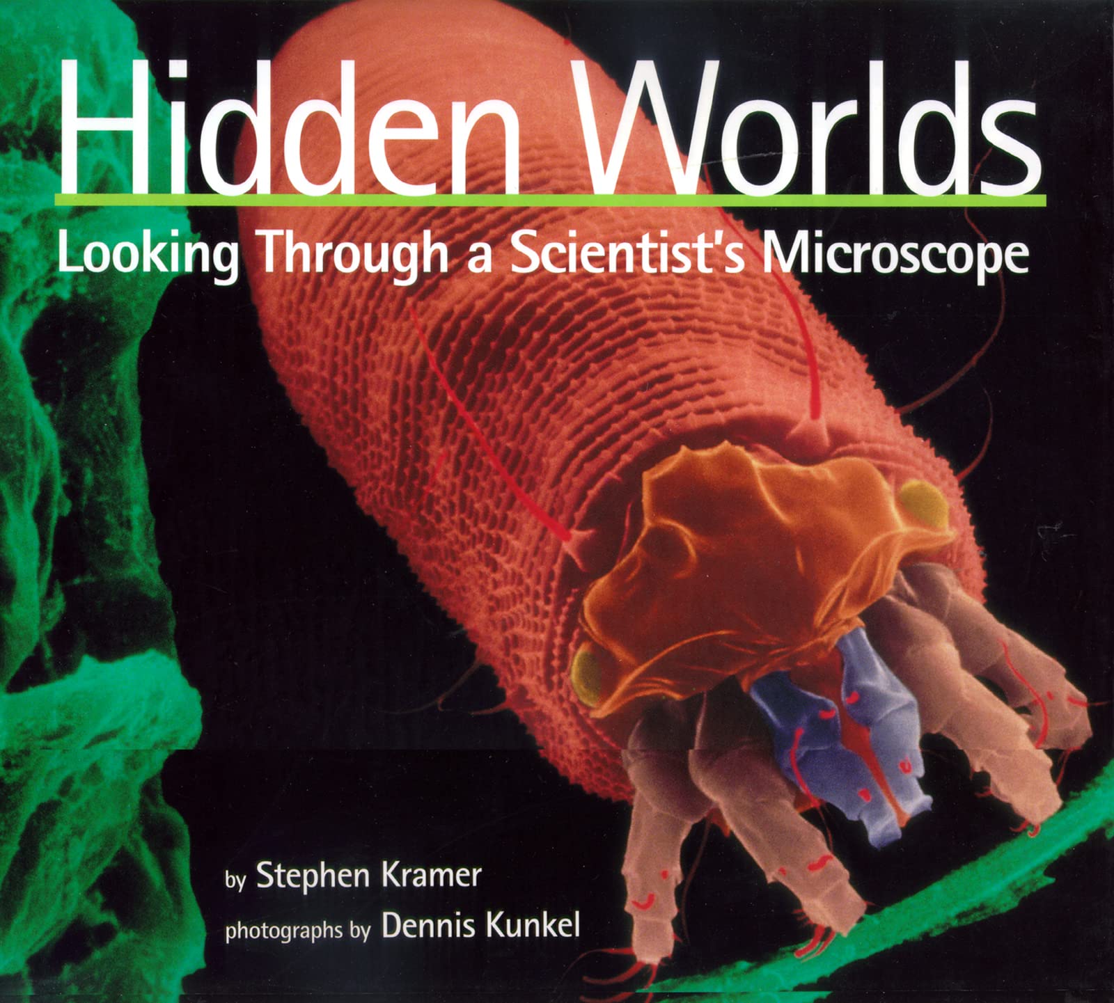Hidden Worlds: Looking Through A Scientist'S Microscope (Scientists In The Field Series)-used