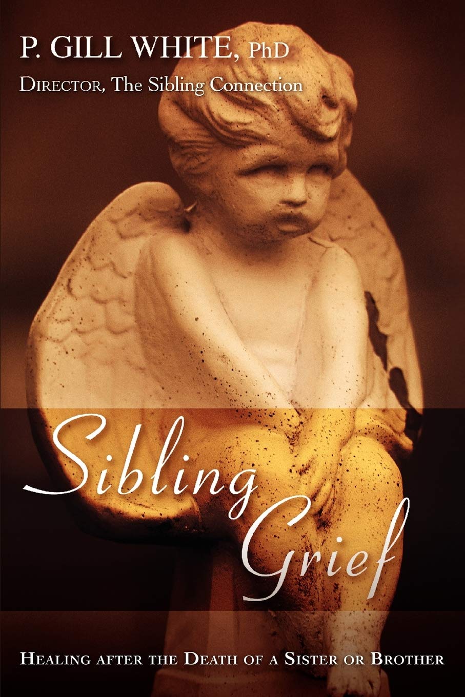 Sibling Grief: Healing After the Death of a Sister or Brother,Used