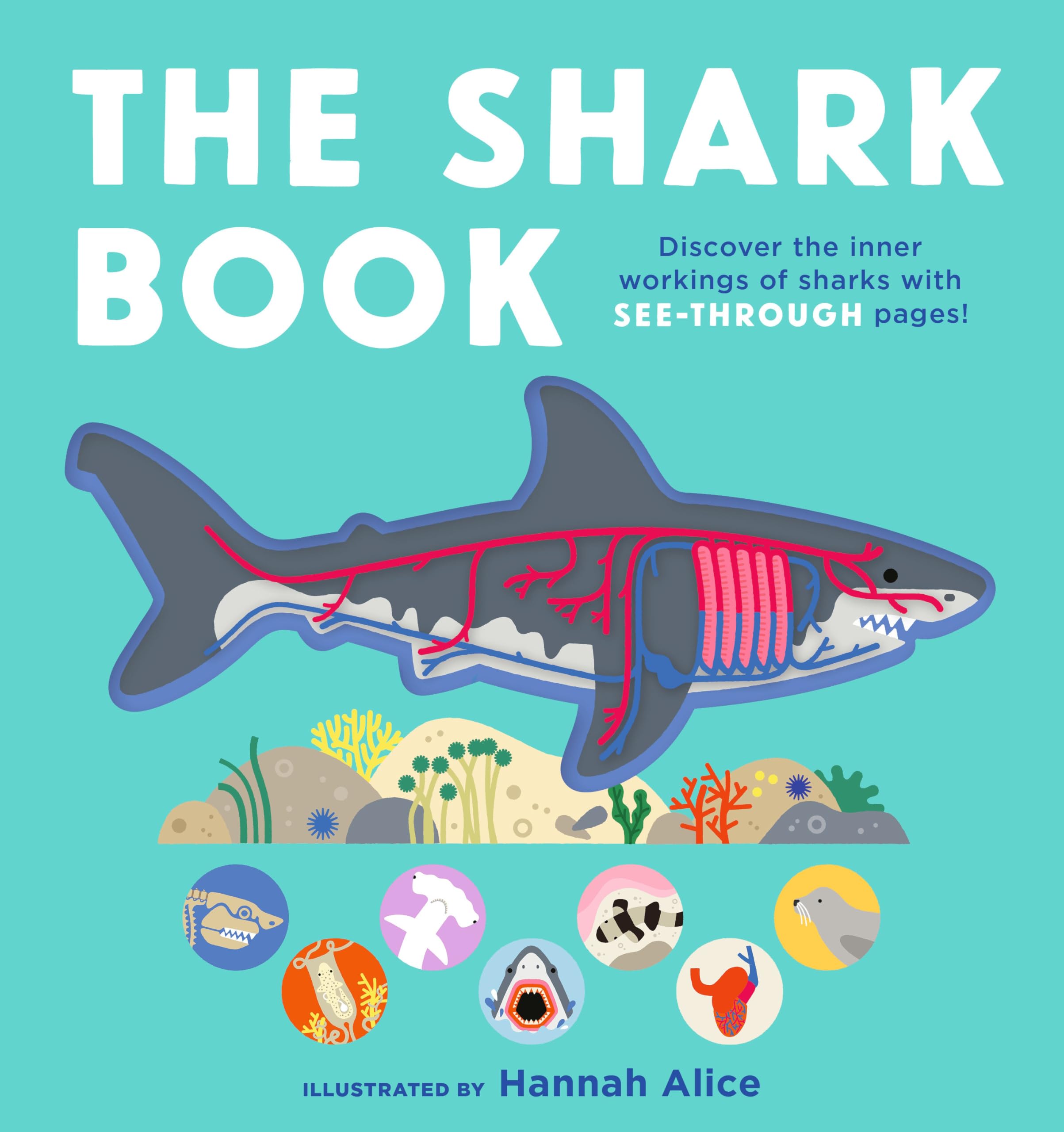 The Shark Book (SeeThrough Science)