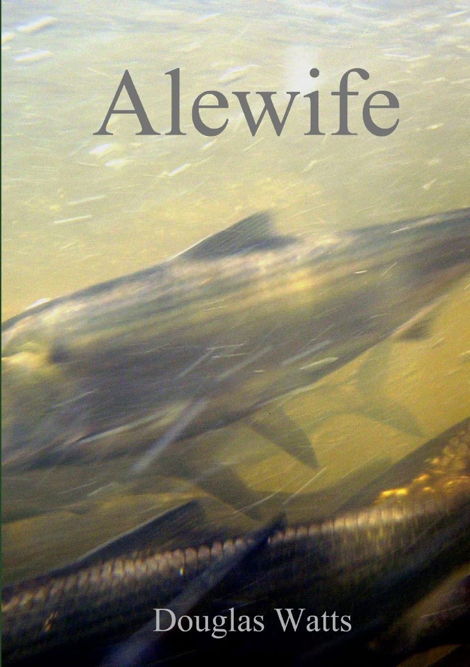 Alewife,Used