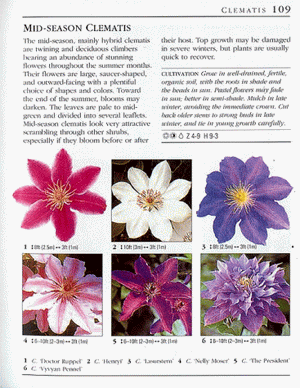 American Horticultural Society Great Plant Guide,Used