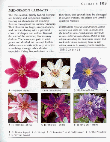 American Horticultural Society Great Plant Guide,Used