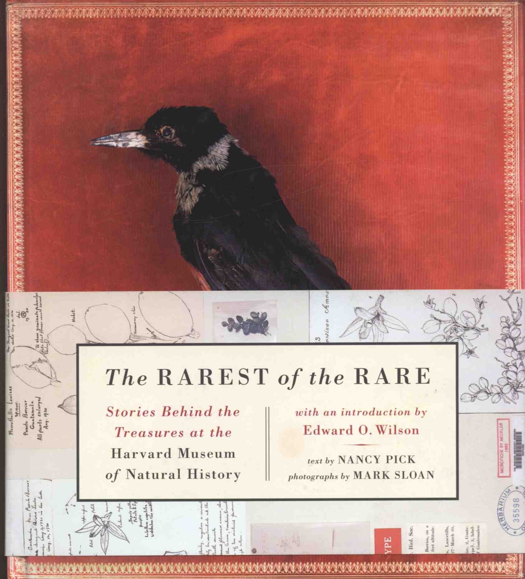 The Rarest Of The Rare: Stories Behind The Treasures At The Harvard Museum Of Natural History,Used
