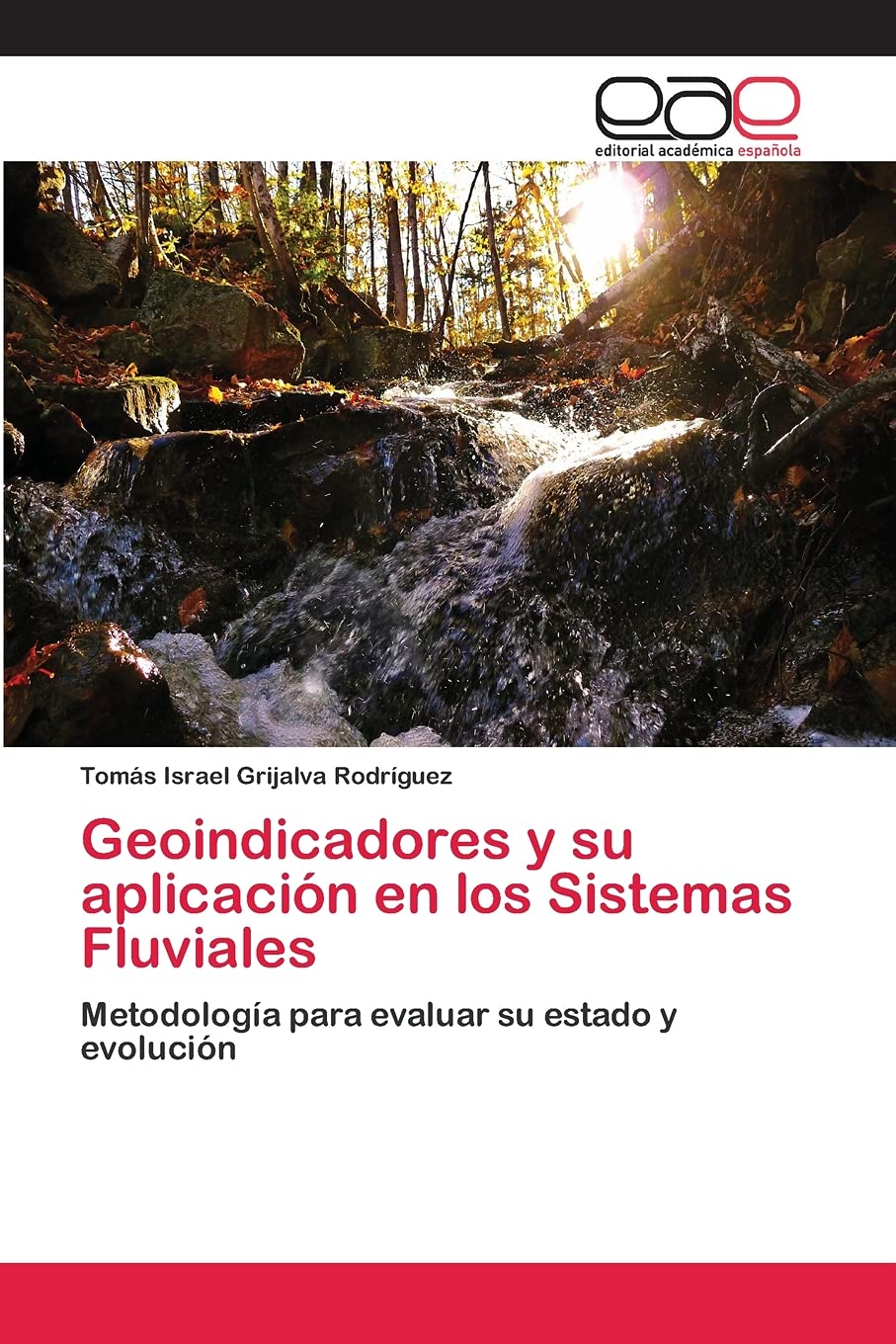 Geoindicadores y su aplicacin en los Sistemas Fluviales: Metodologa para evaluar su estado y evolucin (Spanish Edition),Used
