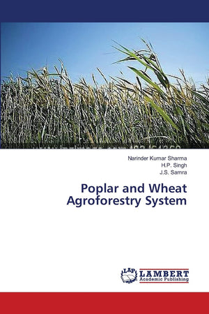 Poplar and Wheat Agroforestry System,Used