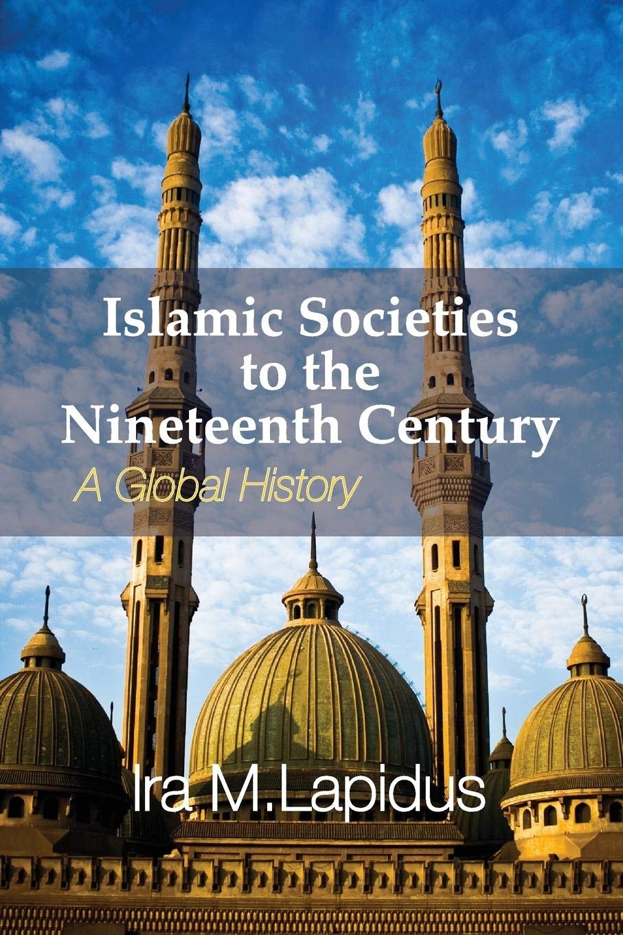 Islamic Societies to the Nineteenth Century: A Global History,New