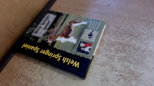 Welsh Springer Spaniel,Used