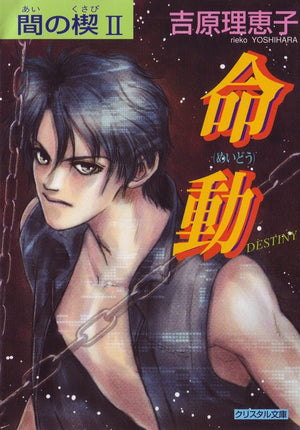 Ai No Kusabi The Space Between Volume 2: Destiny (Yaoi Novel) (Ai No Kusabi Space Between Novel)