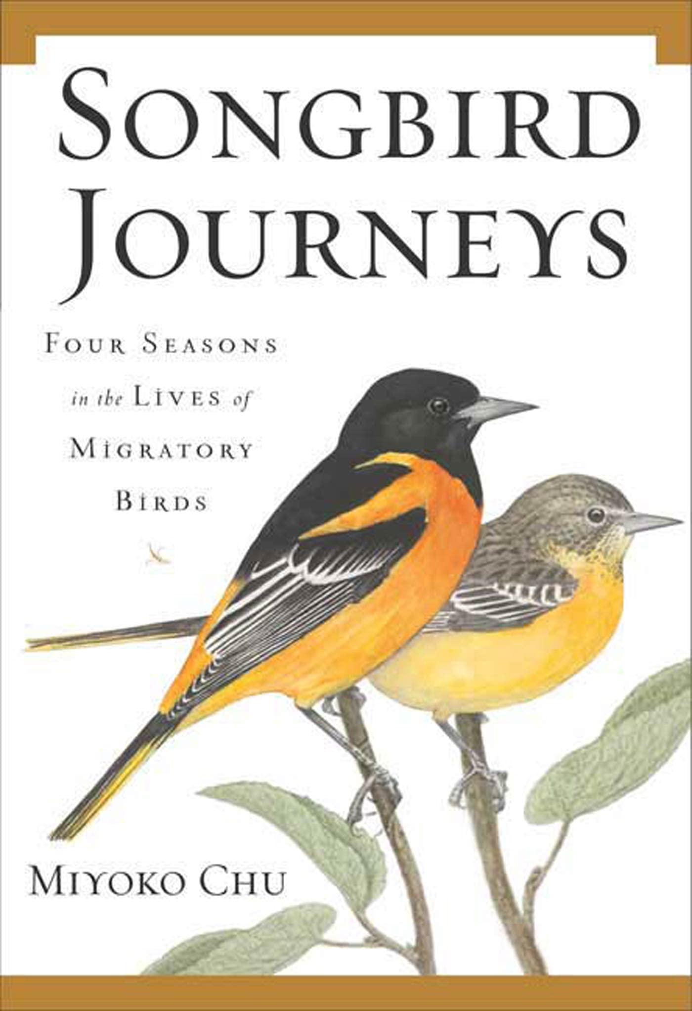 Songbird Journeys: Four Seasons In The Lives Of Migratory Birds,New