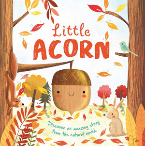 Nature Stories: Little AcornDiscover an Amazing Story from the Natural World: Padded Board Book