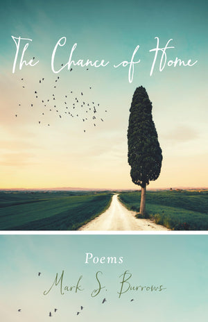 The Chance of Home: Poems (Paraclete Poetry),Used