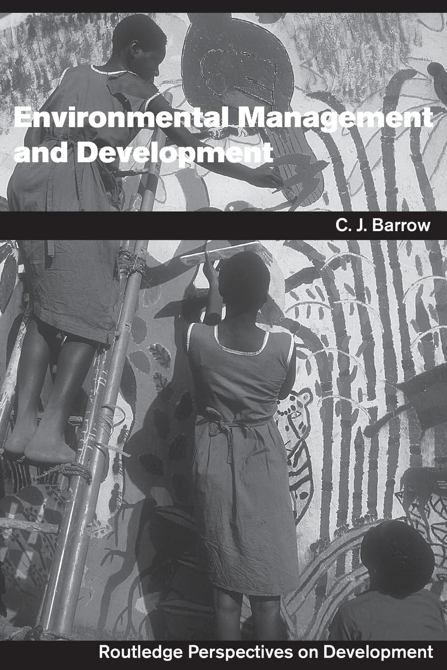 Environmental Management and Development (Routledge Perspectives on Development),New