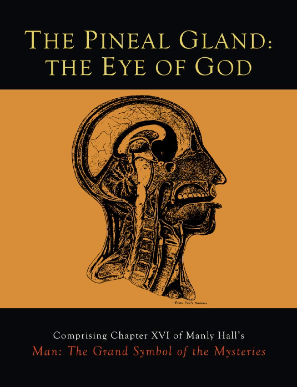 The Pineal Gland: The Eye Of God