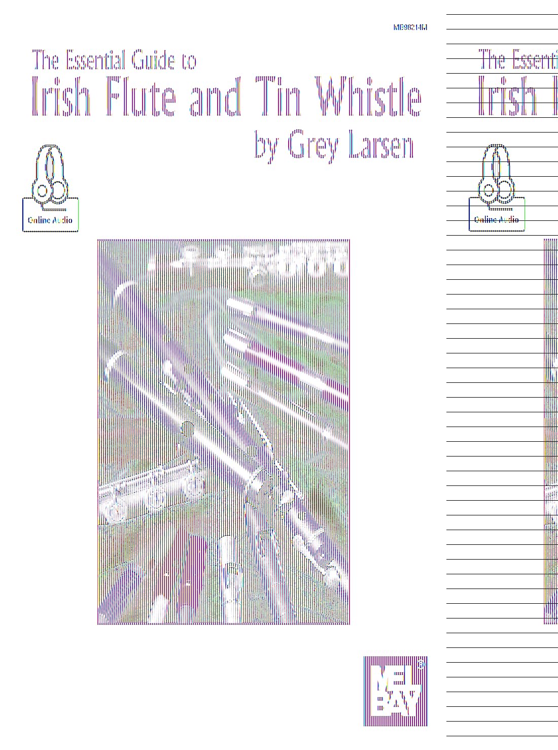 Essential Guide to Irish Flute and Tin Whistle,New