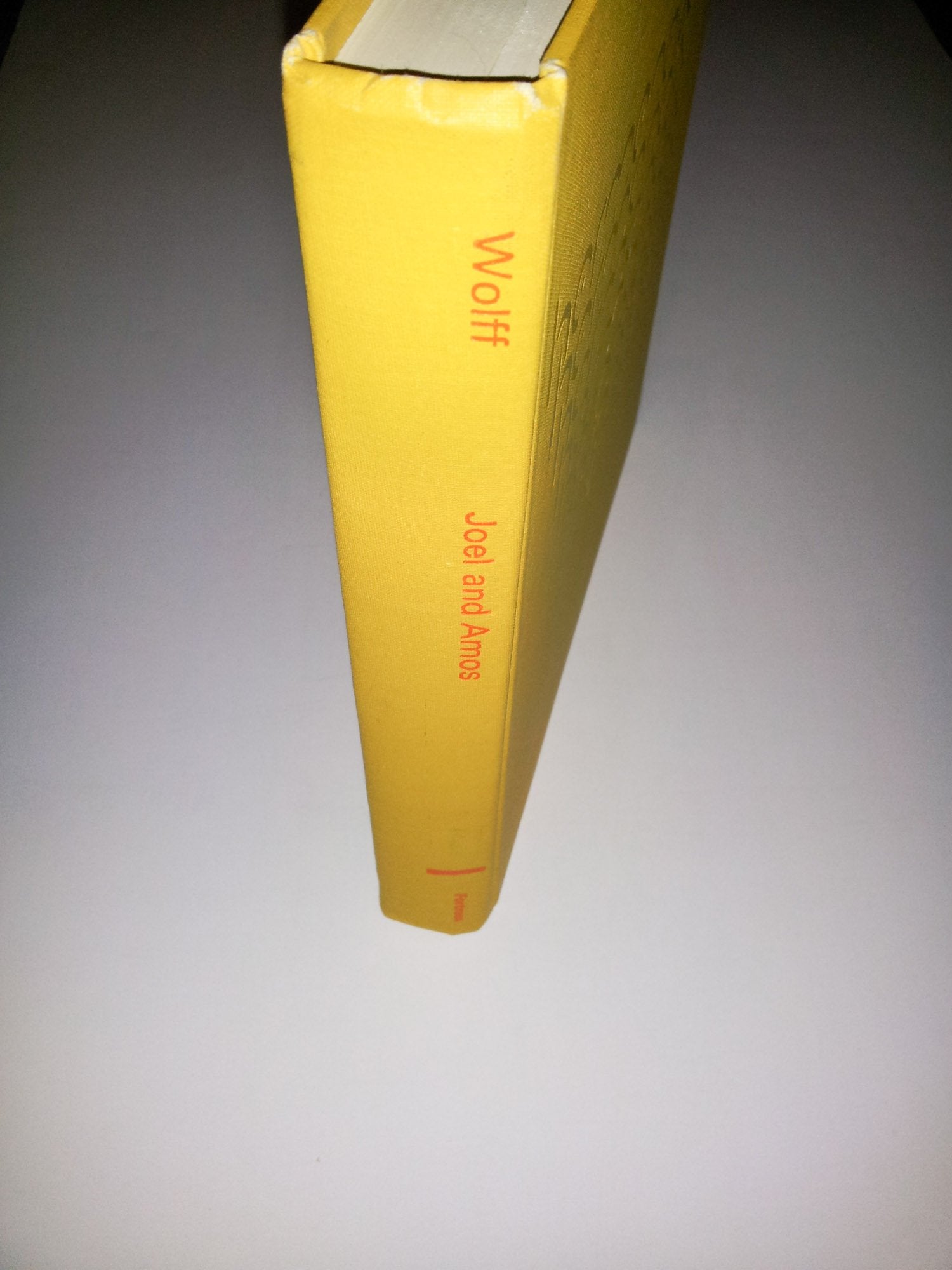 Joel and Amos: A Commentary on the Books of the Prophets Joel and Amos (HermeneiaA Critical and Historical Commentary on the B,Used