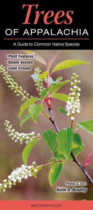 Trees of Appalachia,Used