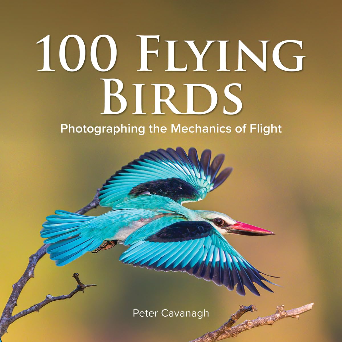 100 Flying Birds: Photographing the Mechanics of Flight,Used