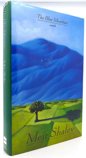 The Blue Mountain: A Novel-used