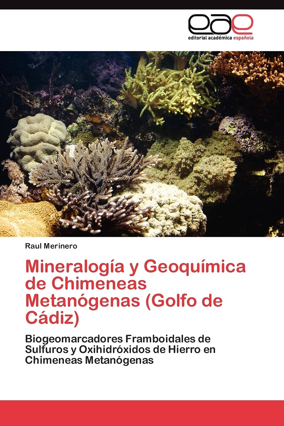 Mineraloga y Geoqumica de Chimeneas Metangenas (Golfo de Cdiz): Biogeomarcadores Framboidales de Sulfuros y Oxihidrxid,Used