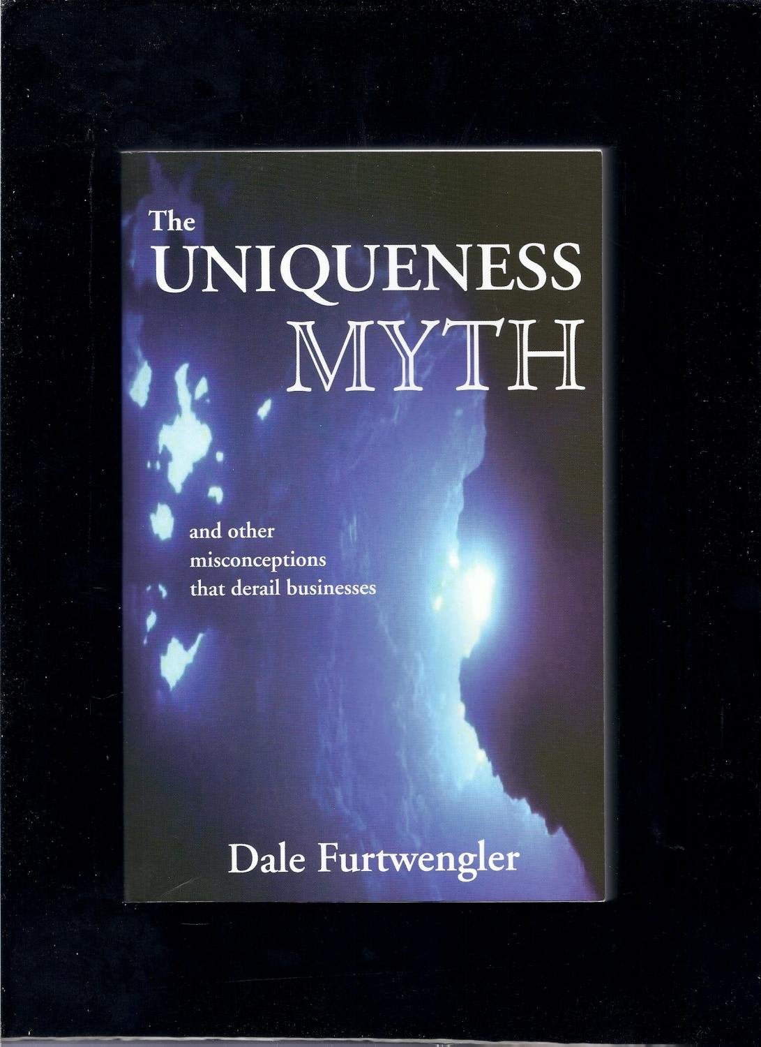The Uniqueness Myth and Other Misconceptions that Derail Businesses,Used