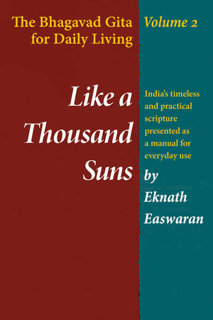 Like a Thousand Suns: The Bhagavad Gita for Daily Living, Volume 2 (The Bhagavad Gita for Daily Living, Vol. 2),Used