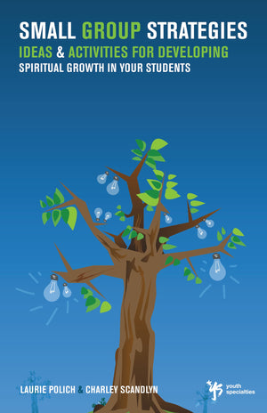 Small Group Strategies: Ideas and Activities for Developing Spiritual Growth in Your Students,Used