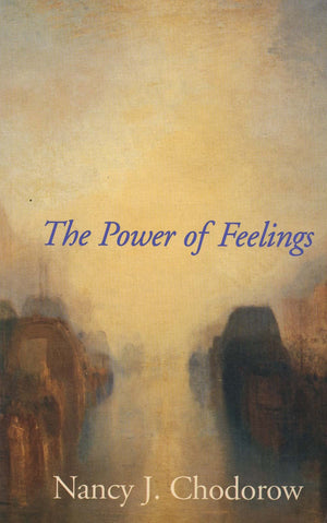 The Power of Feelings: Personal Meaning in Psychoanalysis, Gender, and Culture,Used
