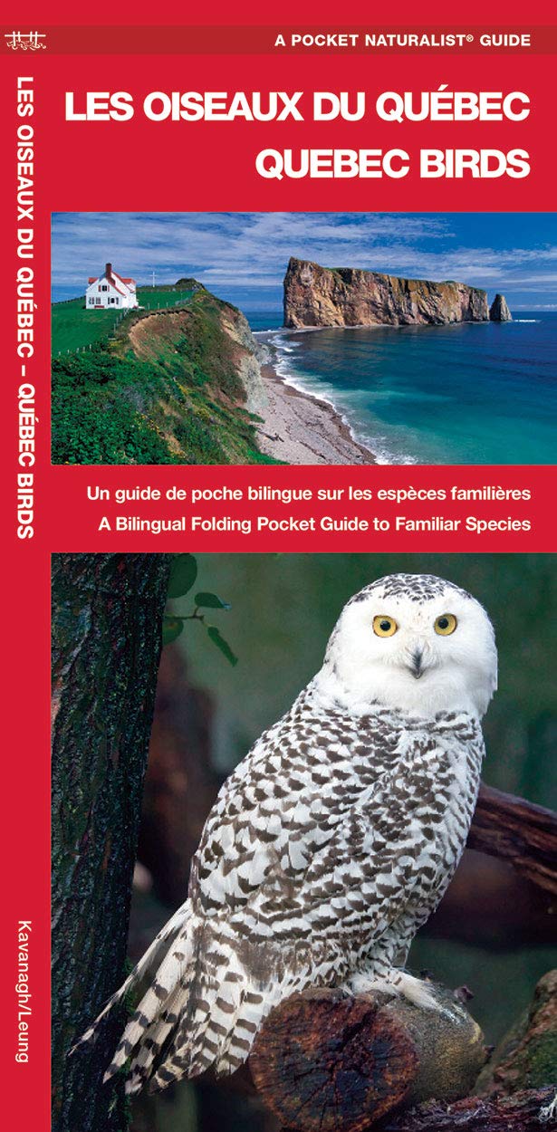 Les Oiseaux Du Qubec/Quebec Birds: Un Guide De Poche Bilingue Sur Les Espces Familire/A Bilingual Folding Pocket Guide To Fami,Used
