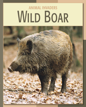 Wild Boar (21st Century Skills Library: Animal Invaders),Used