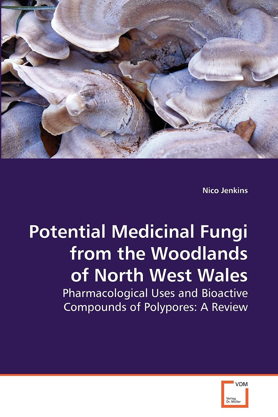 Potential Medicinal Fungi from the Woodlands of North West Wales: Pharmacological Uses and Bioactive Compounds of Polypores: A R,Used
