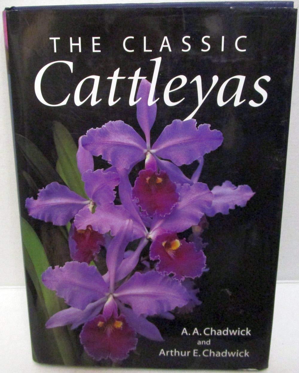 The Classic Cattleyas