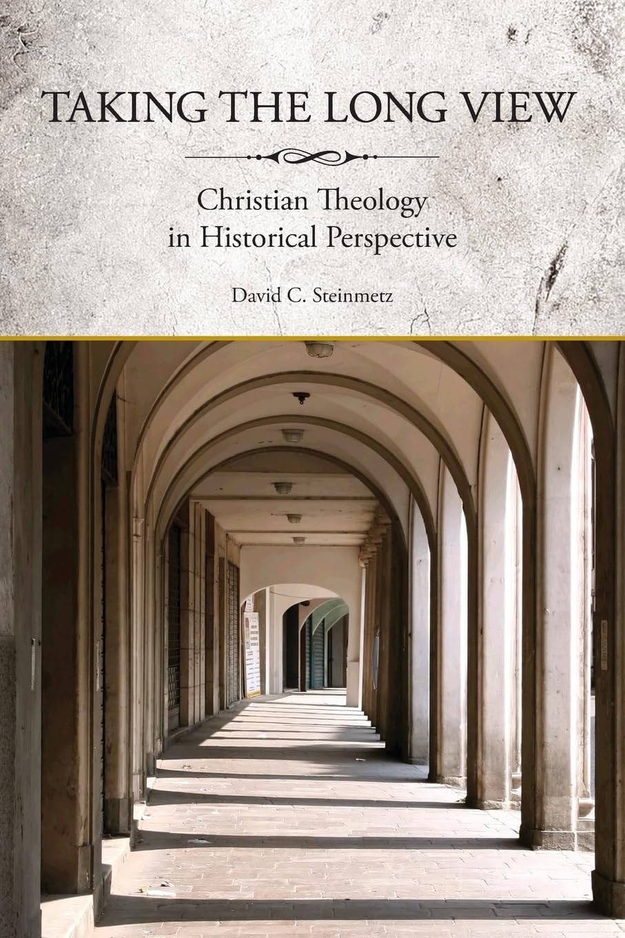 Taking the Long View: Christian Theology in Historical Perspective,Used