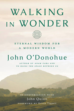 Walking in Wonder: Eternal Wisdom for a Modern World,Used