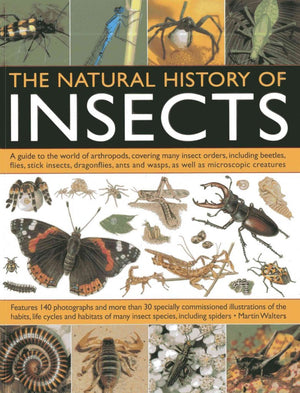 The Natural History Of Insects: A Guide To The World Of Arthropods, Covering Many Insect Orders, Including Beetles, Flies, Stick,Used