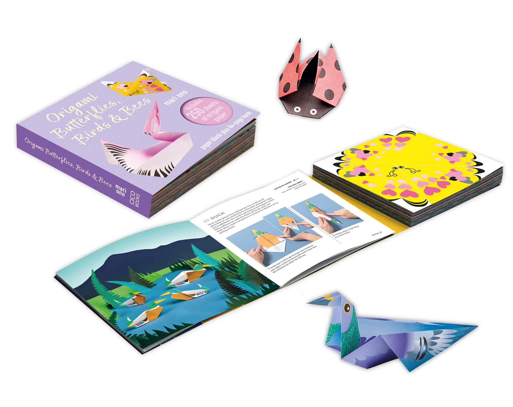 Origami Butterflies, Birds & Bees: Paper Block Plus 64Page Book,Used