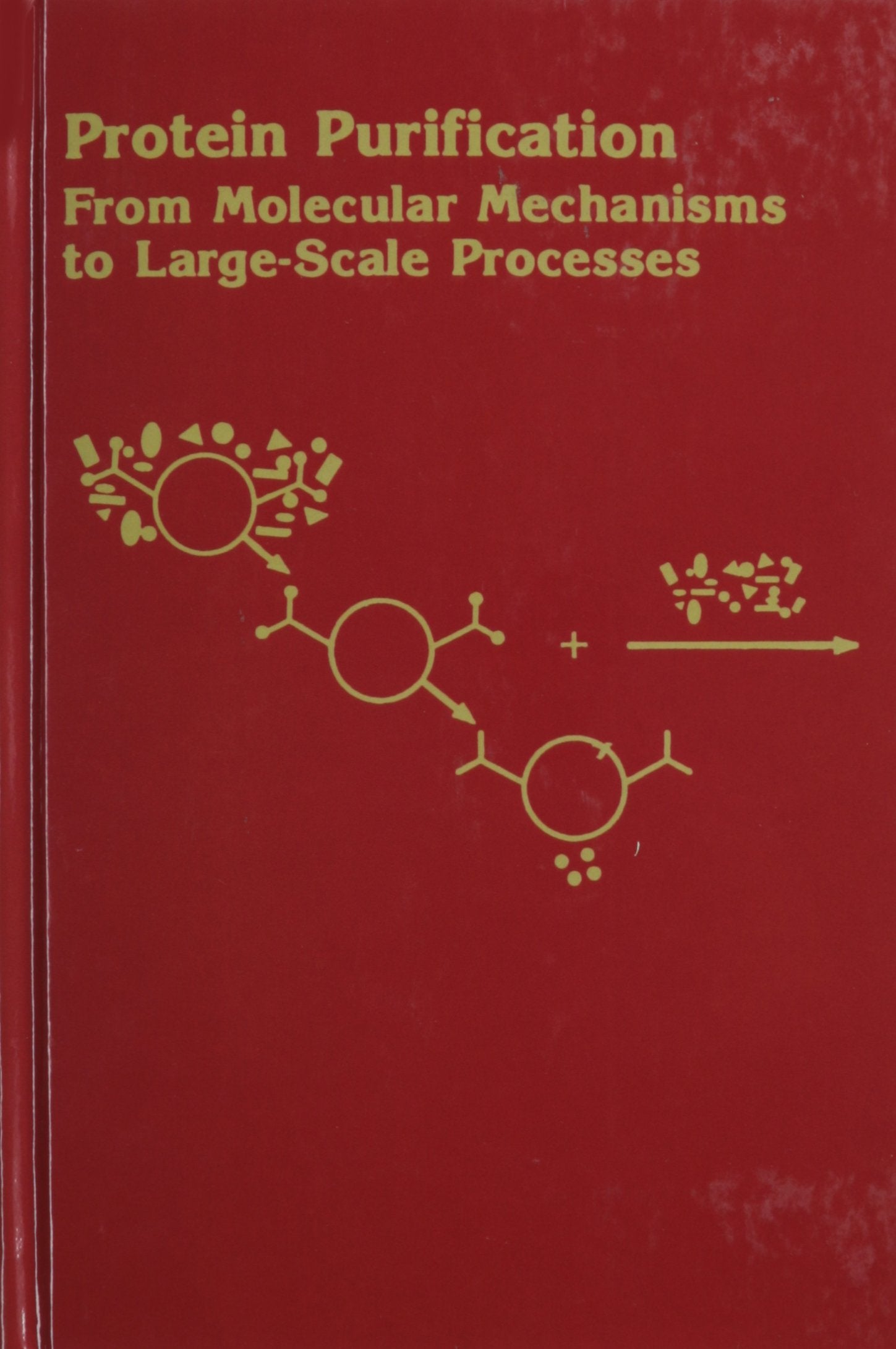 Protein Purification: From Molecular Mechanisms to LargeScale Processes (ACS Symposium Series),Used