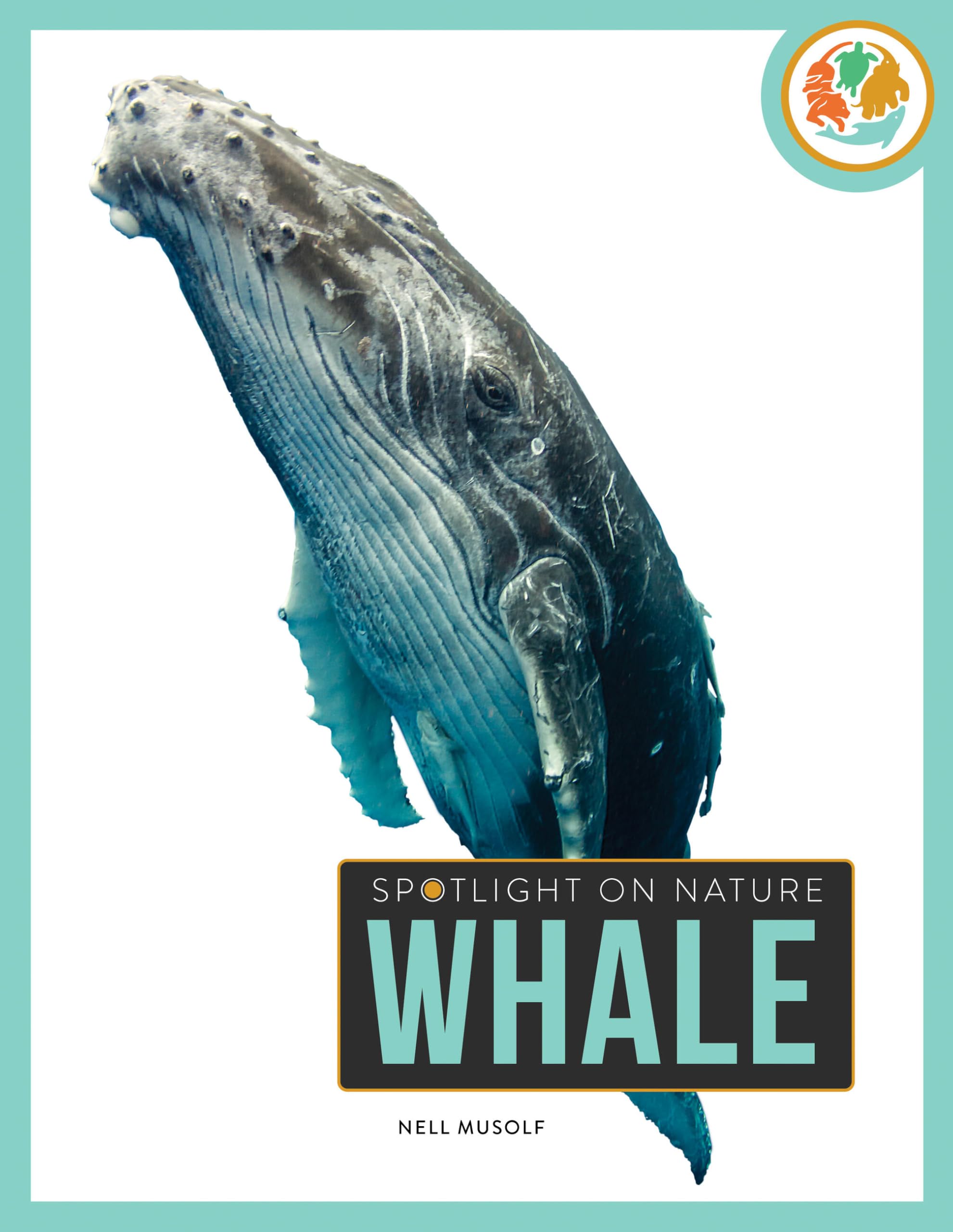 Whale