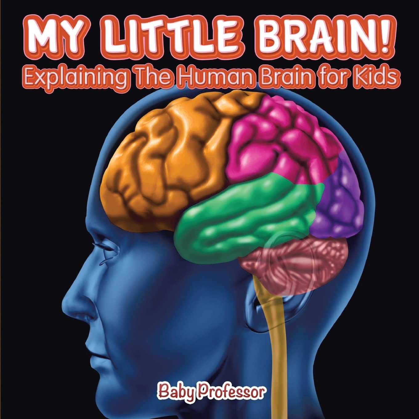 My Little Brain!  Explaining The Human Brain for Kids,Used