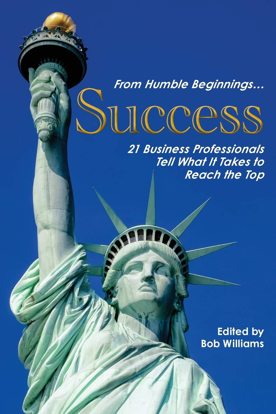 From Humble Beginnings. . . Success: 21 Business Professionals Tell What It Takes to Reach the Top,Used