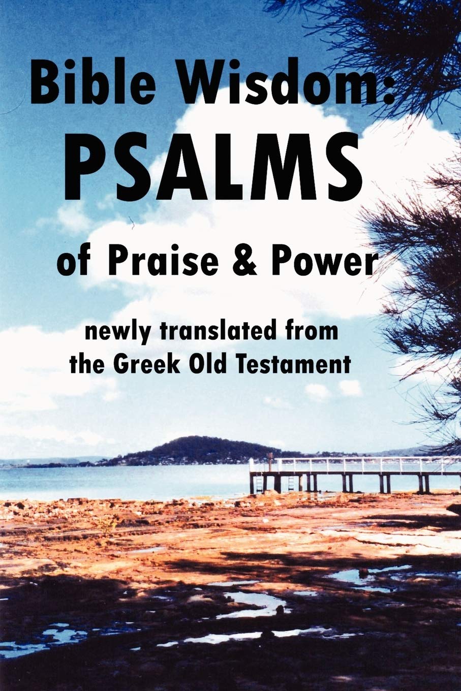 Bible Wisdom: Psalms Of Praise & Power Newly Translated From The Greek Old Testament