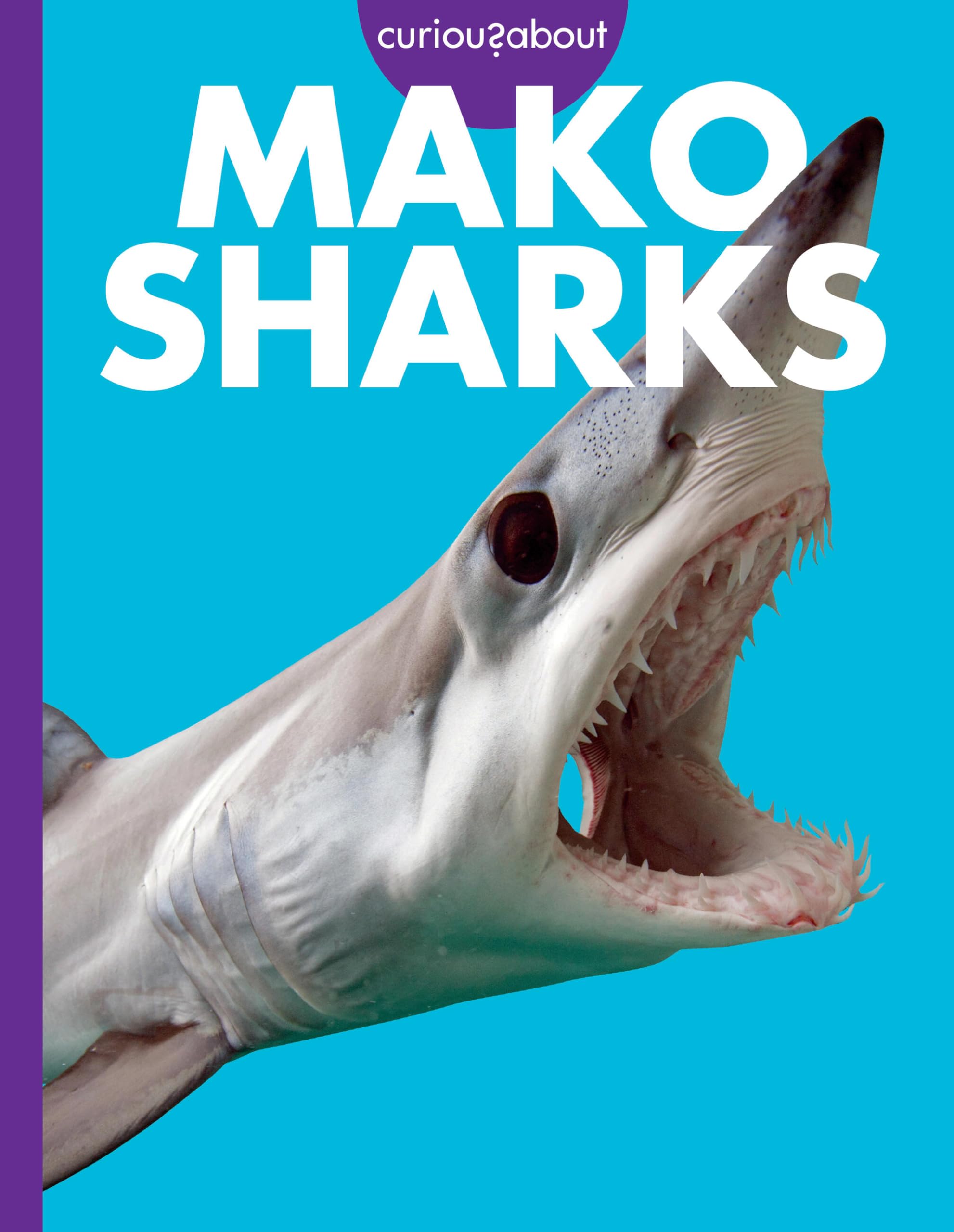 Curious About Mako Sharks