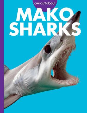 Curious About Mako Sharks