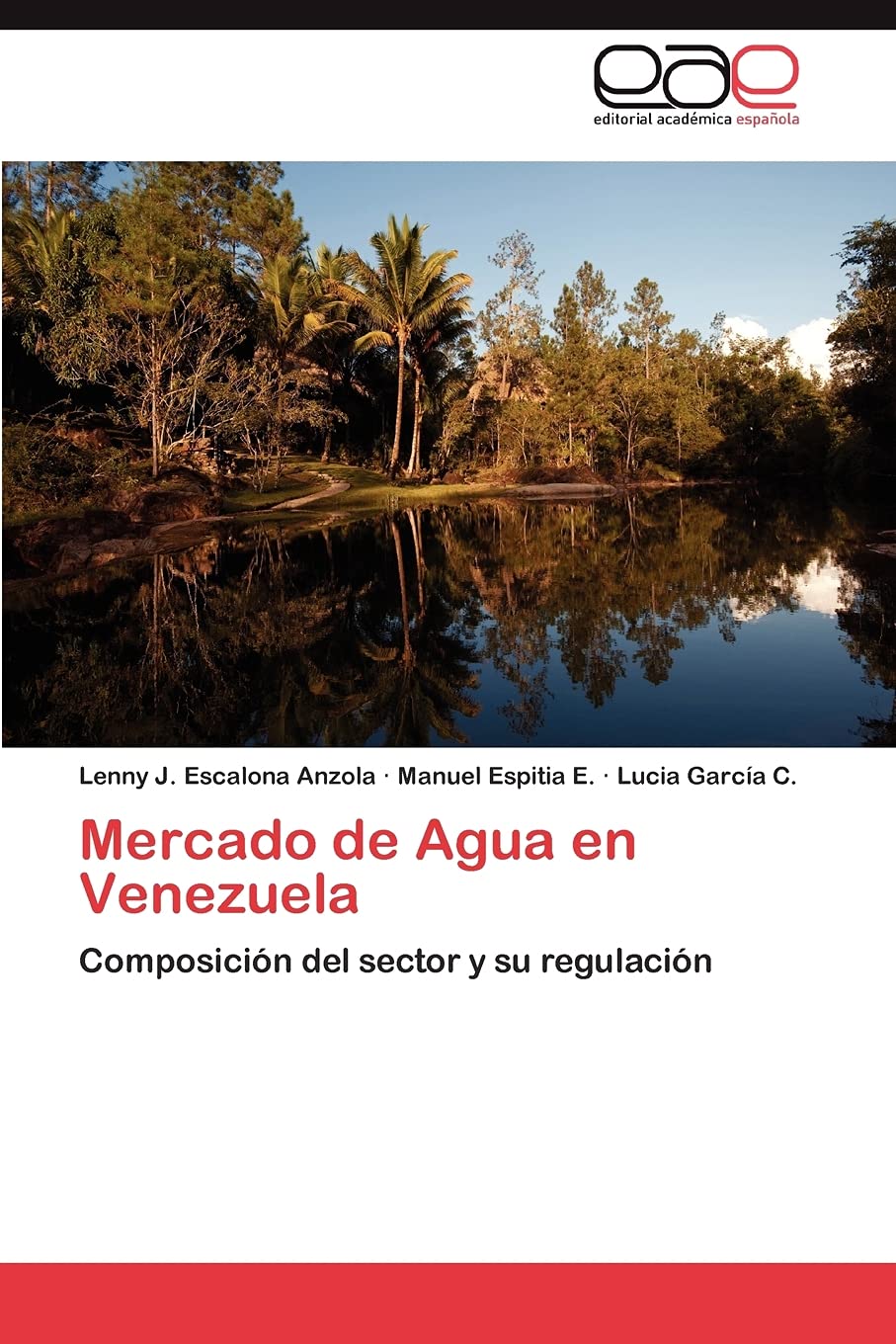Mercado de Agua en Venezuela: Composicin del sector y su regulacin (Spanish Edition),Used
