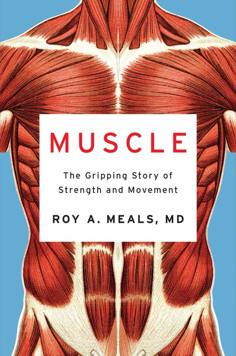 Muscle: The Gripping Story Of Strength And Movement,Used