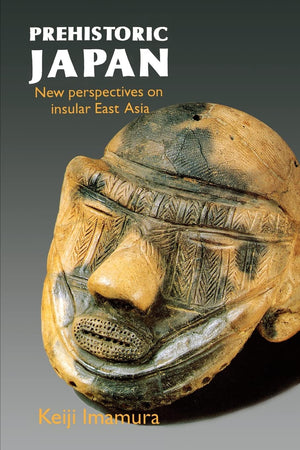 Prehistoric Japan: New Perspectives on Insular East Asia,Used