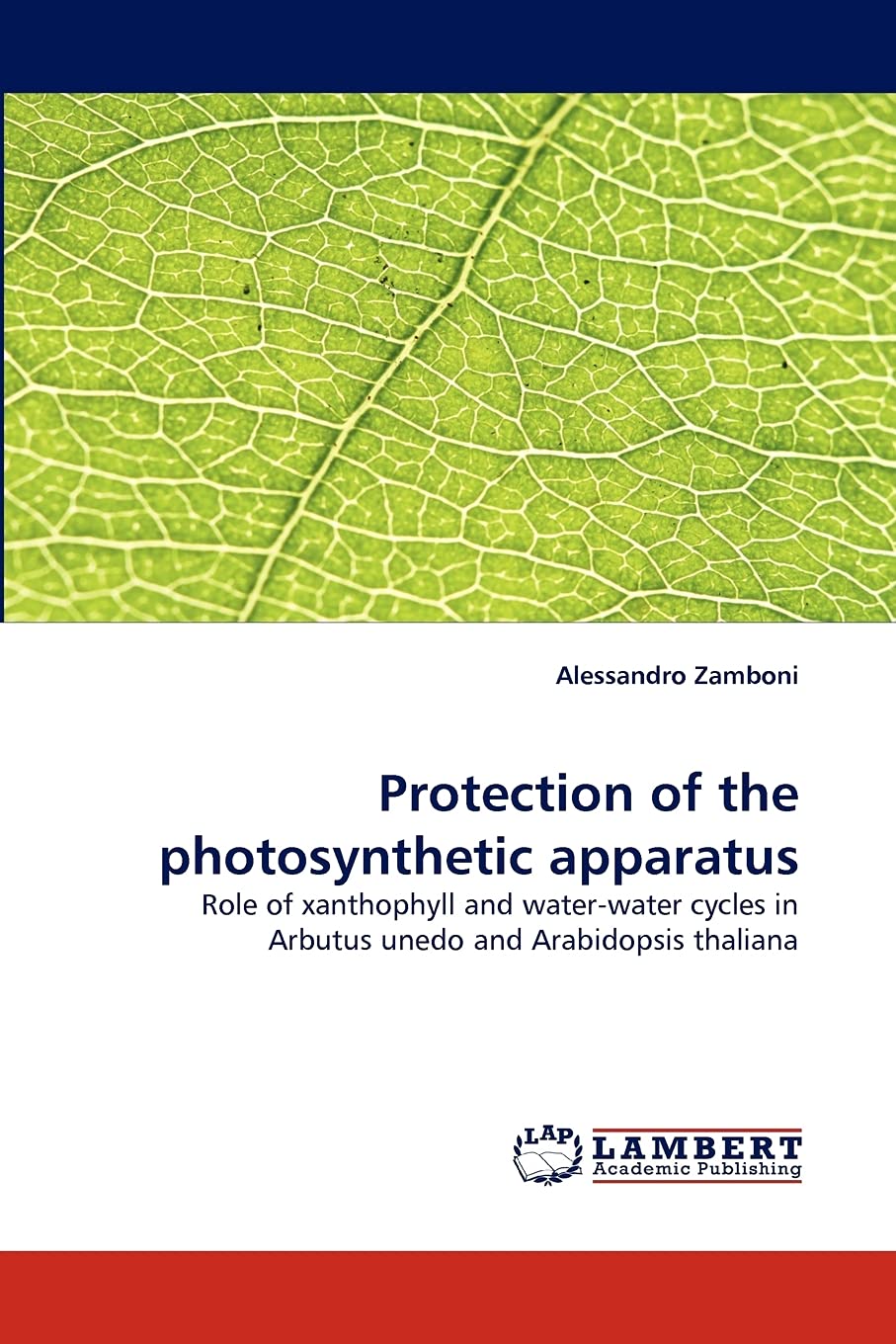 Protection of the photosynthetic apparatus: Role of xanthophyll and waterwater cycles in Arbutus unedo and Arabidopsis thaliana,Used