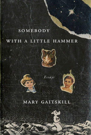 Somebody With A Little Hammer: Essays,New