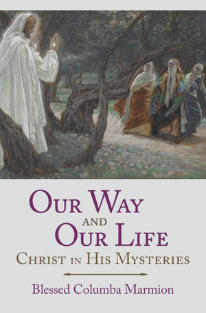 Our Way and Our Life: Christ in His Mysteries,Used