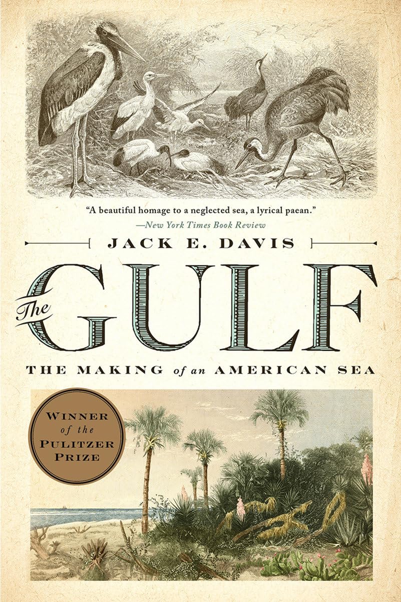 The Gulf: The Making of An American Sea,New