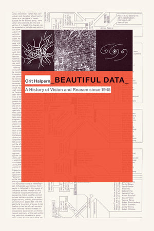Beautiful Data: A History Of Vision And Reason Since 1945 (Experimental Futures)